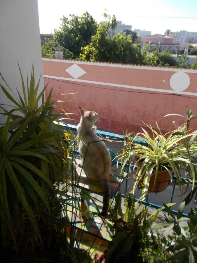 Appartamento Ztir Olhão Esterno foto