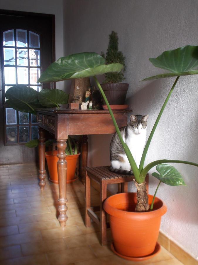 Appartamento Ztir Olhão Esterno foto